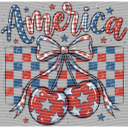 USA-MG 3709